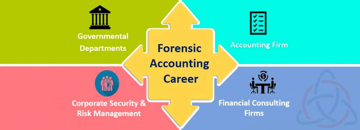 Forensic Accounting - Blog Assets